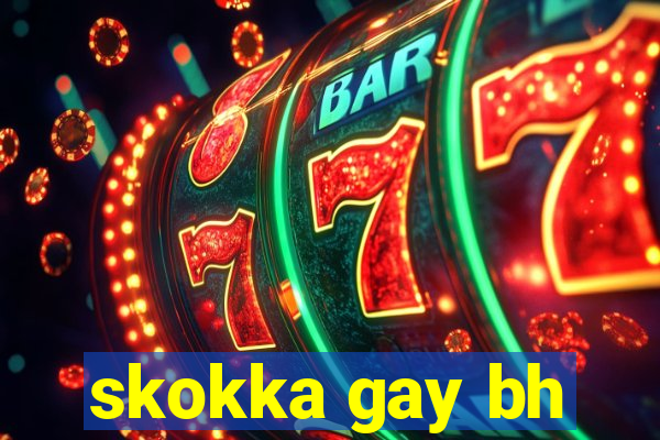 skokka gay bh